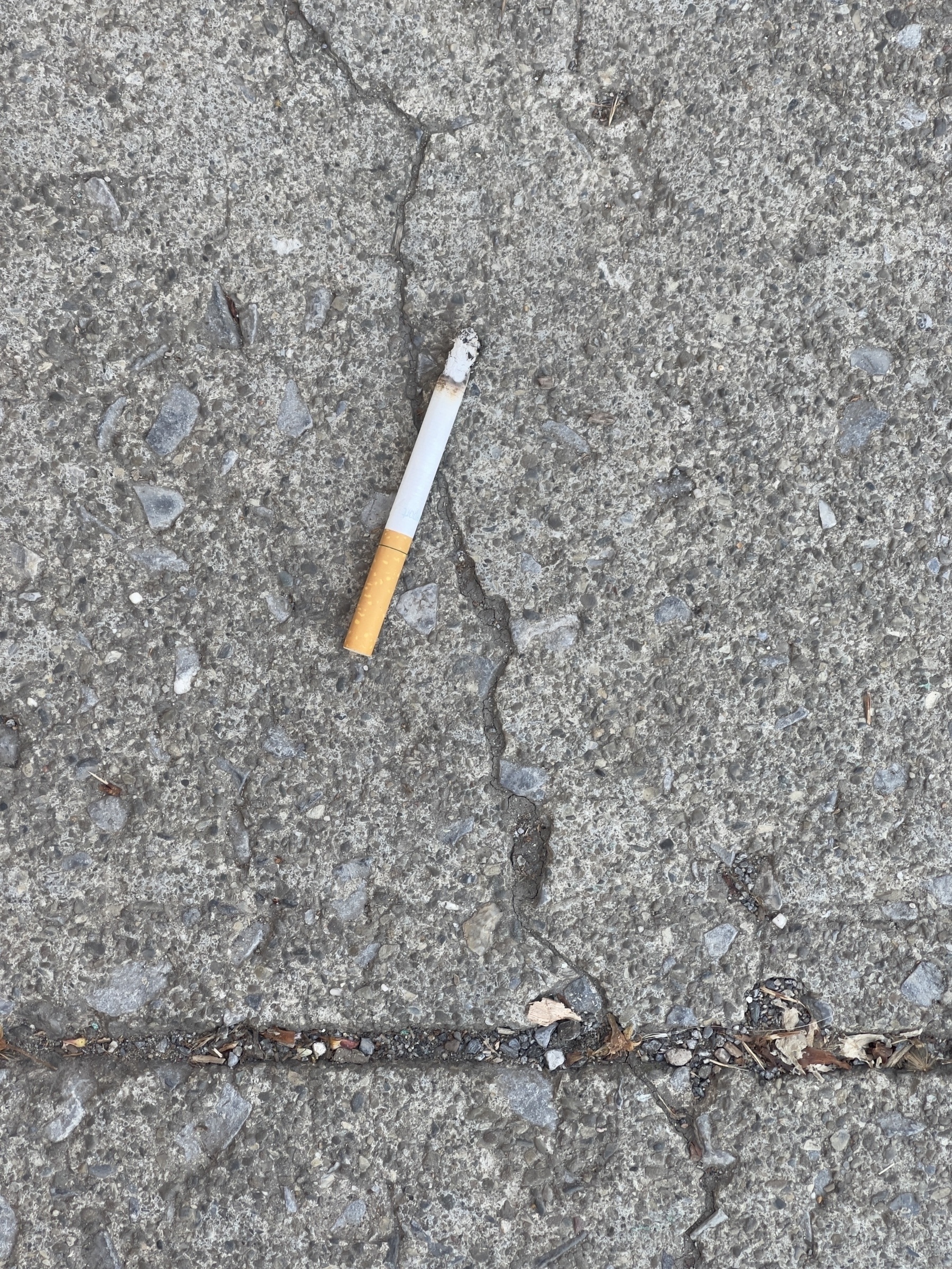 Partially burned cigarette on concrete sidewalk.