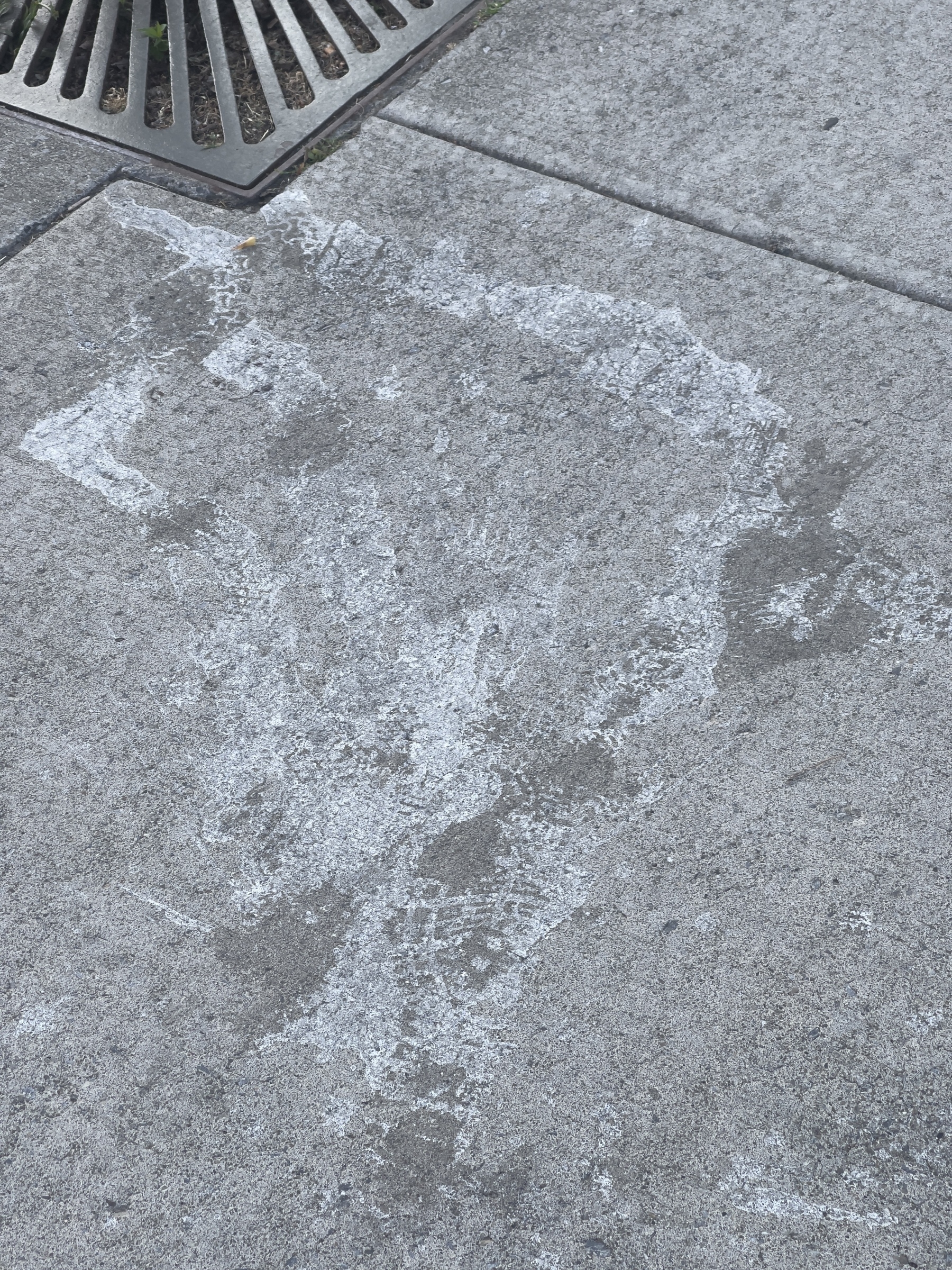 White amorphous stain on concrete sidewalk.