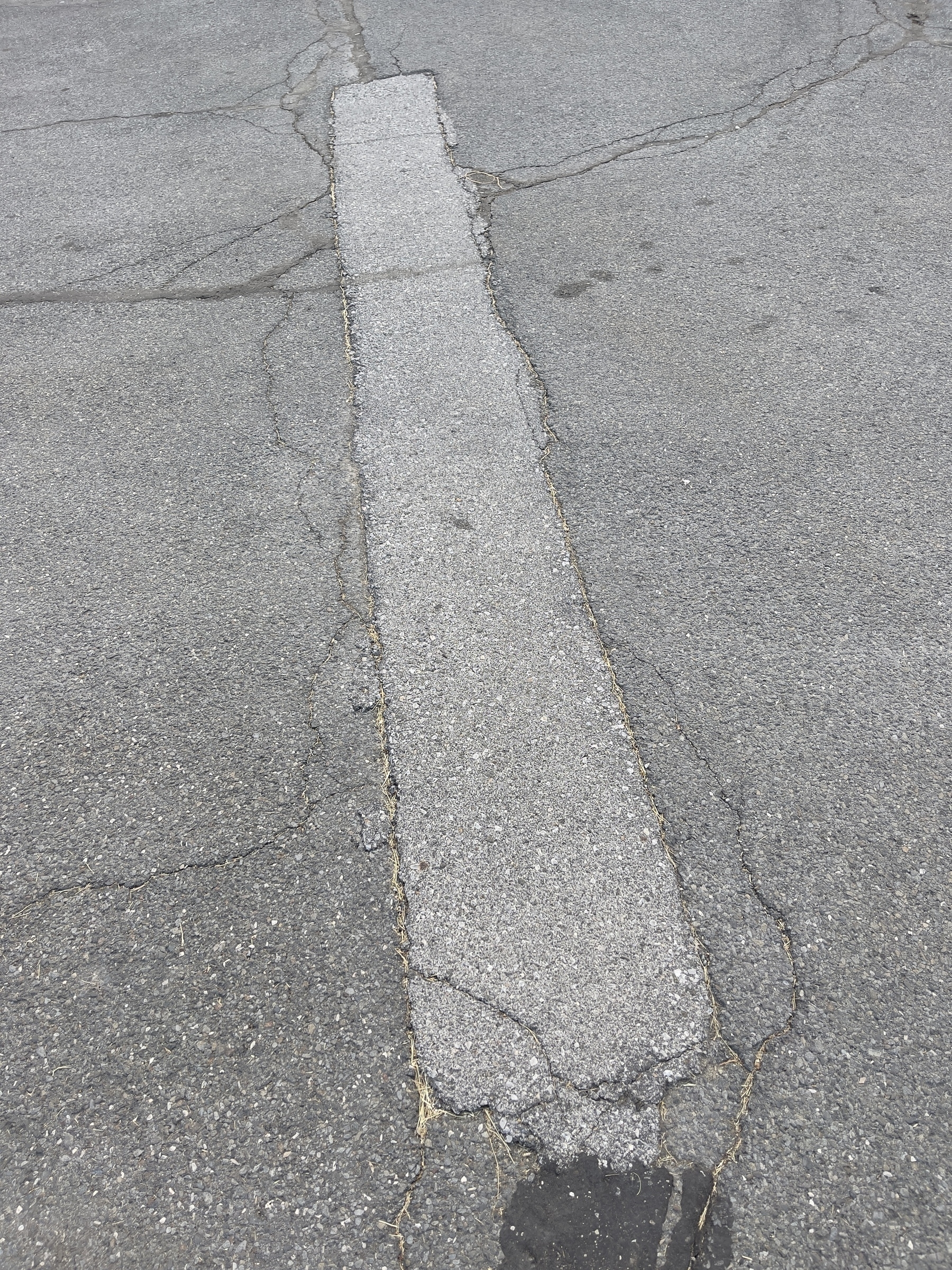 Elongated rectangular patch in an asphalt driveway. 