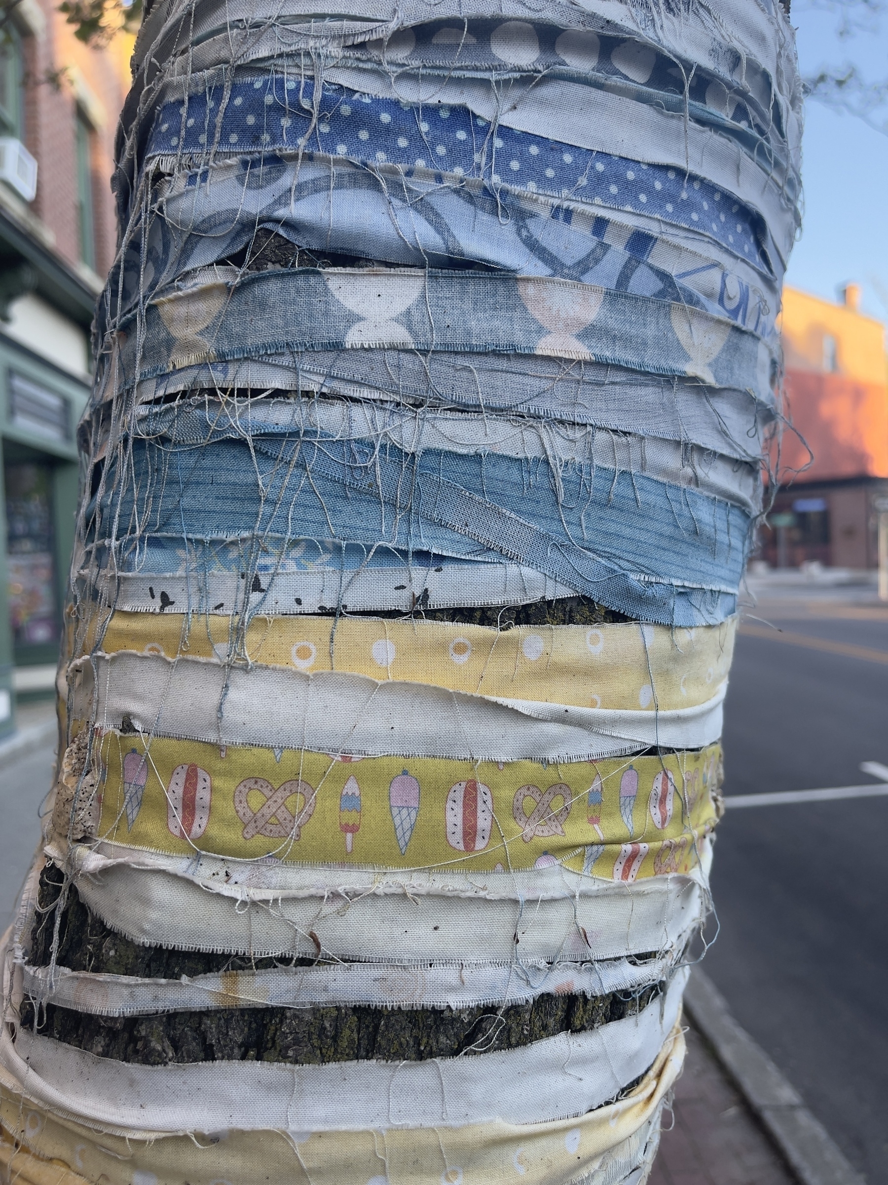 Fabric strips wrapped around a tree trunk.