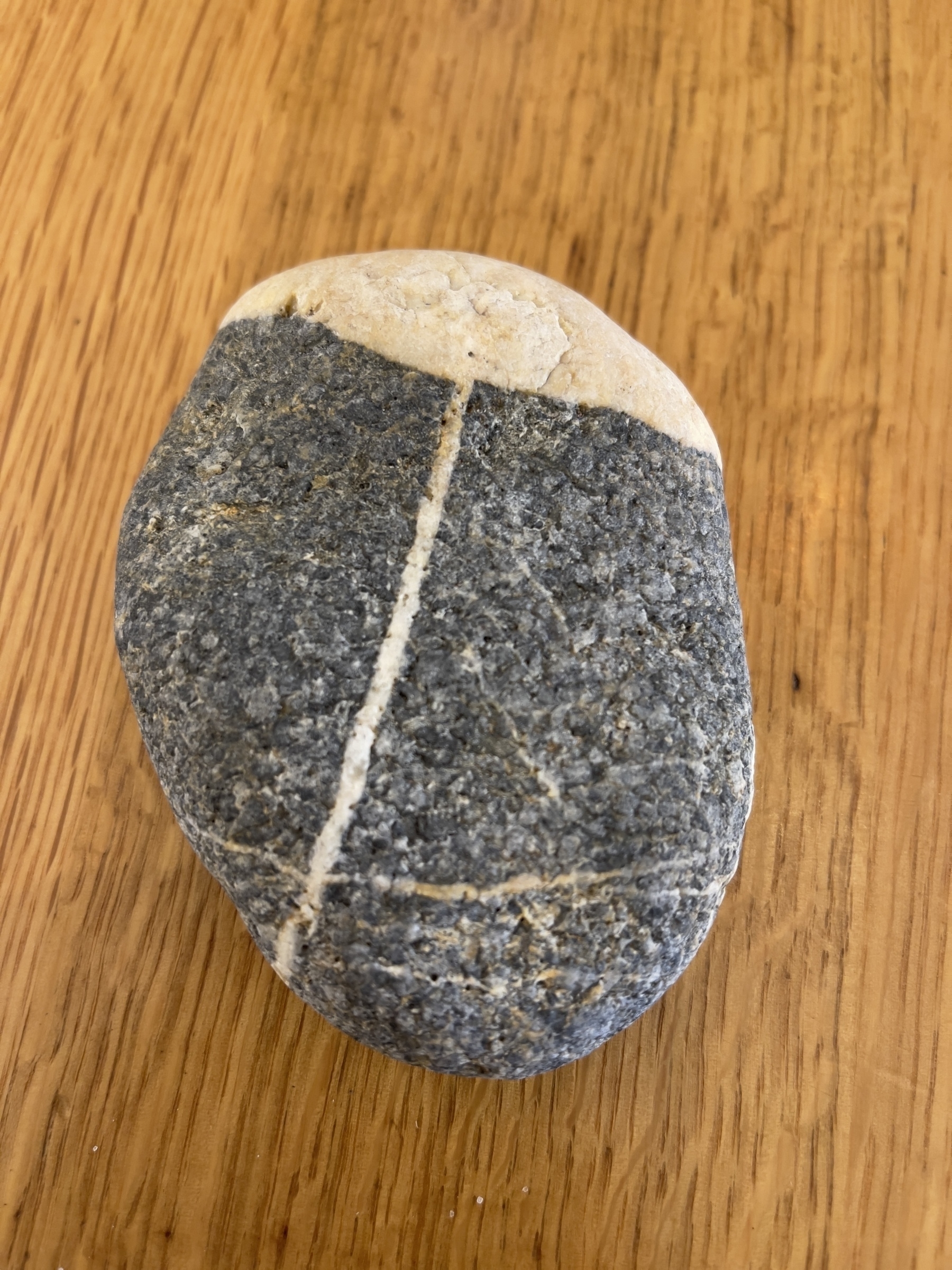 Smooth rounded two tone rock from the beach.