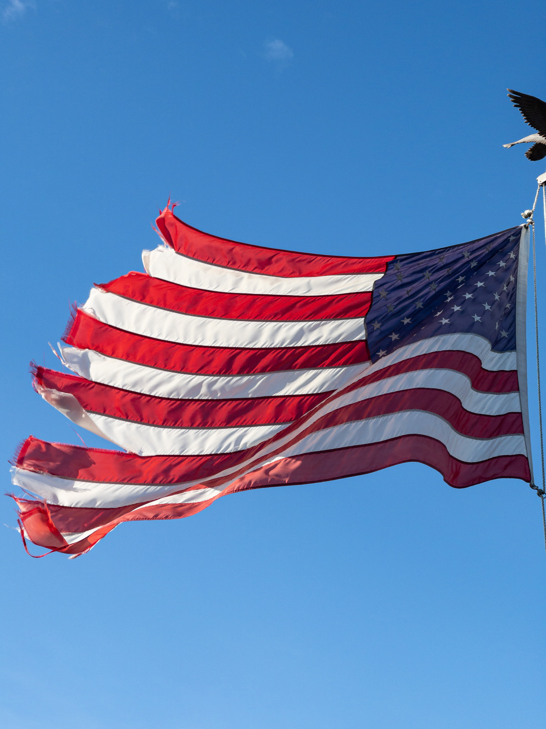 American flag waving in the breeze, flying from right to left. End of flag tattered.