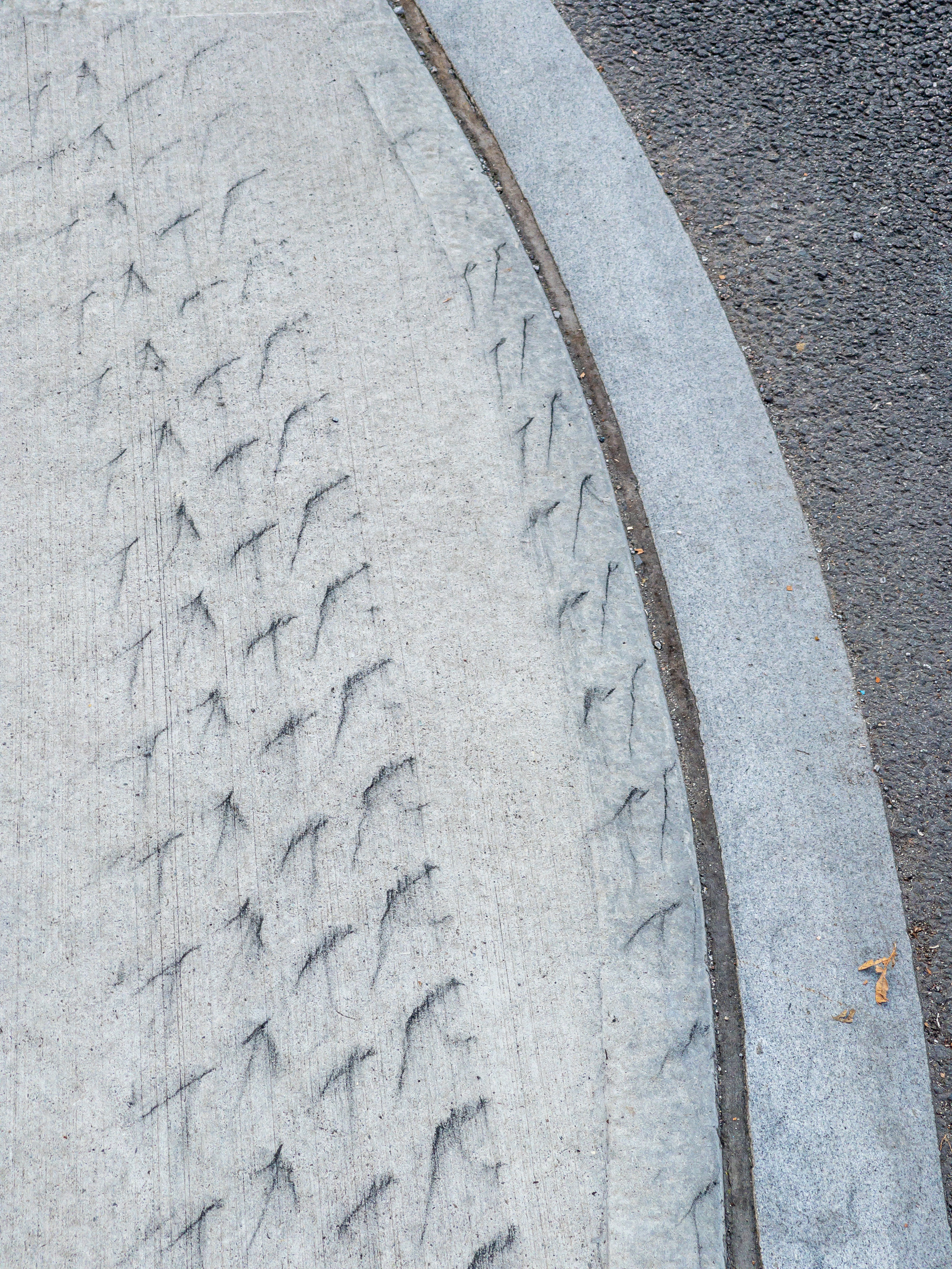 truck tire tracks on concrete sidewalk and curb. Curb running from top center to lower right in a gentle arc. Asphalt paving to the right of the curve.