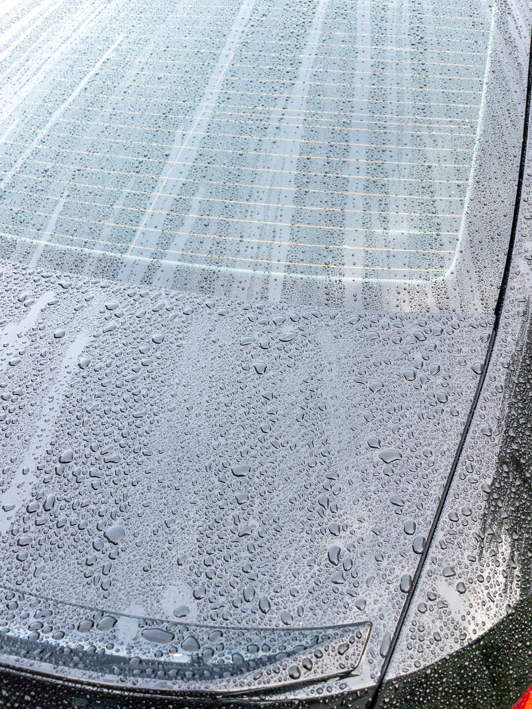 Raindrops and streaks on the trunk hood and rear window of a car.