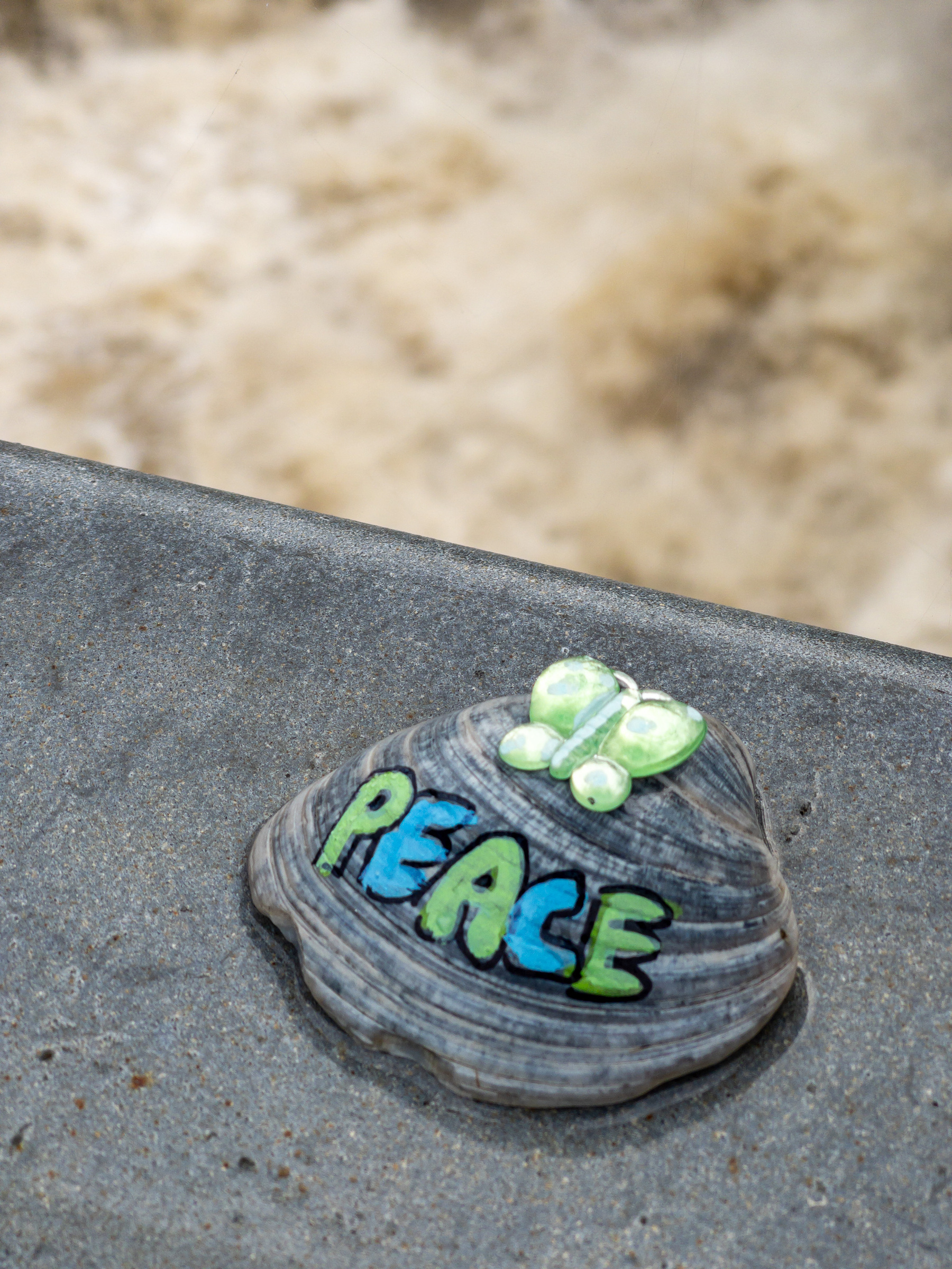 Clam shell with a green plastic butterfly glued on it and the word “PEACE” painted on it in alternating green then blue paint. Clam shell sits on a flattop galvanized steel railing. Churning rapids in the distance.