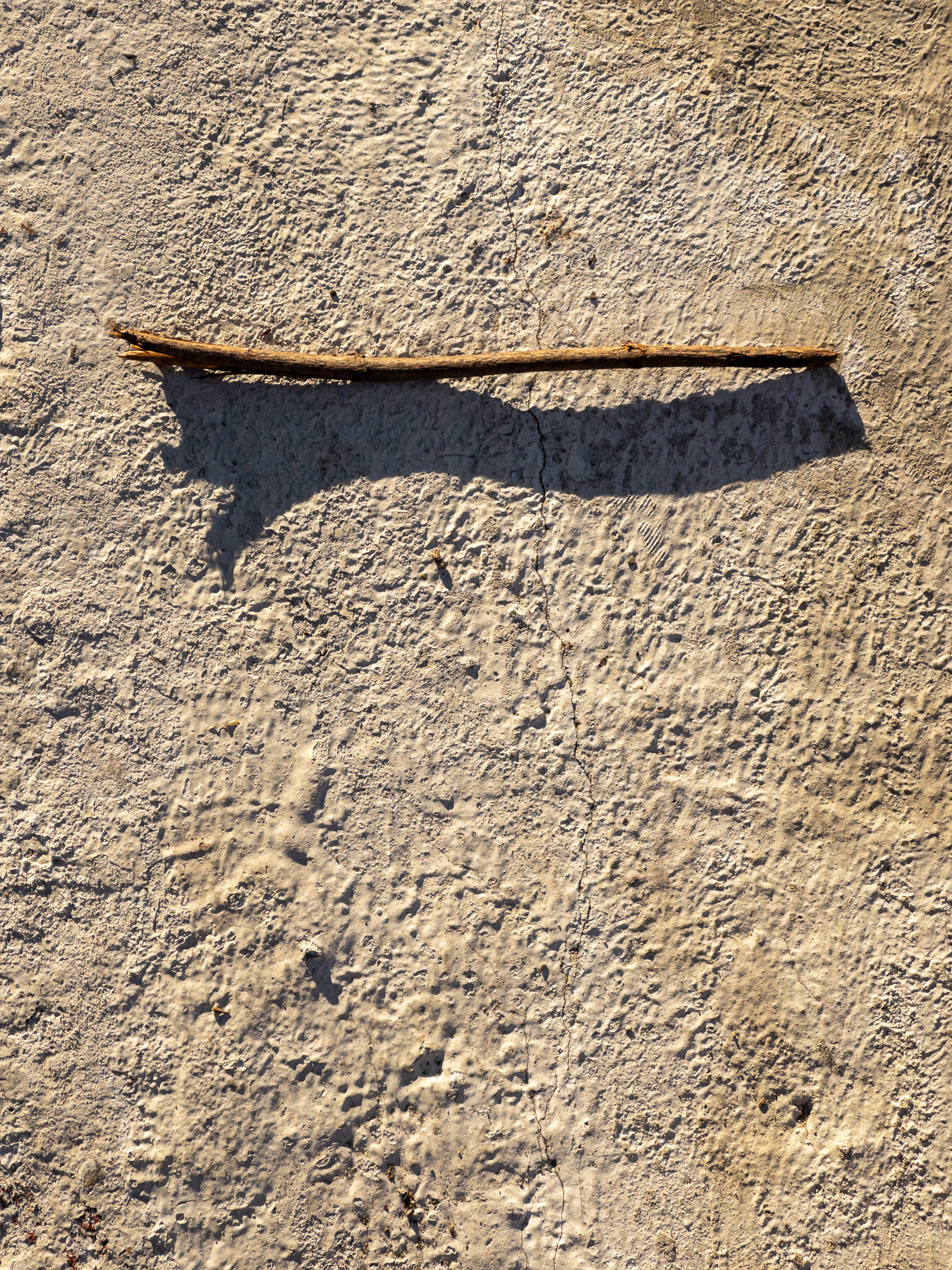 A stick with its shadow running horizontally across the upper third of the frame. Concrete pavement.