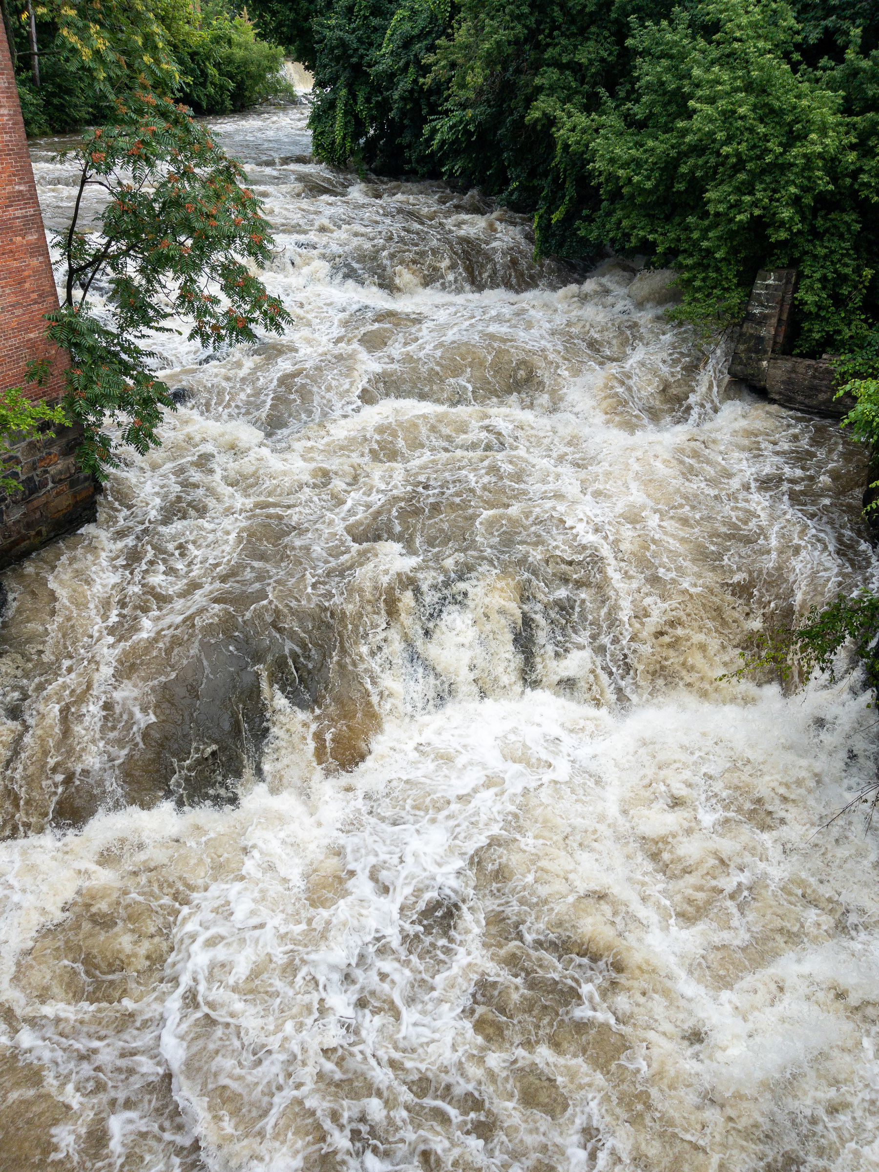 Rapids in local creek after heavy rains.