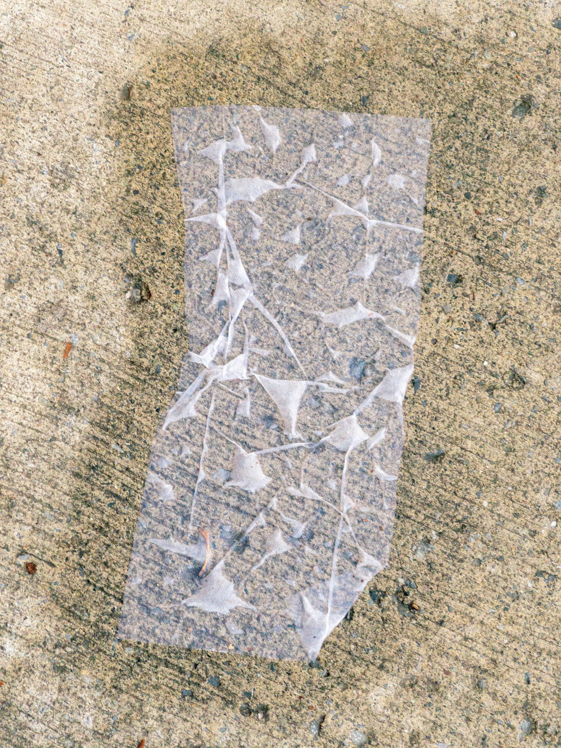 wet tissue paper on concrete sidewalk with a freeform pattern made by air pockets under the paper and looking a little like neurons
