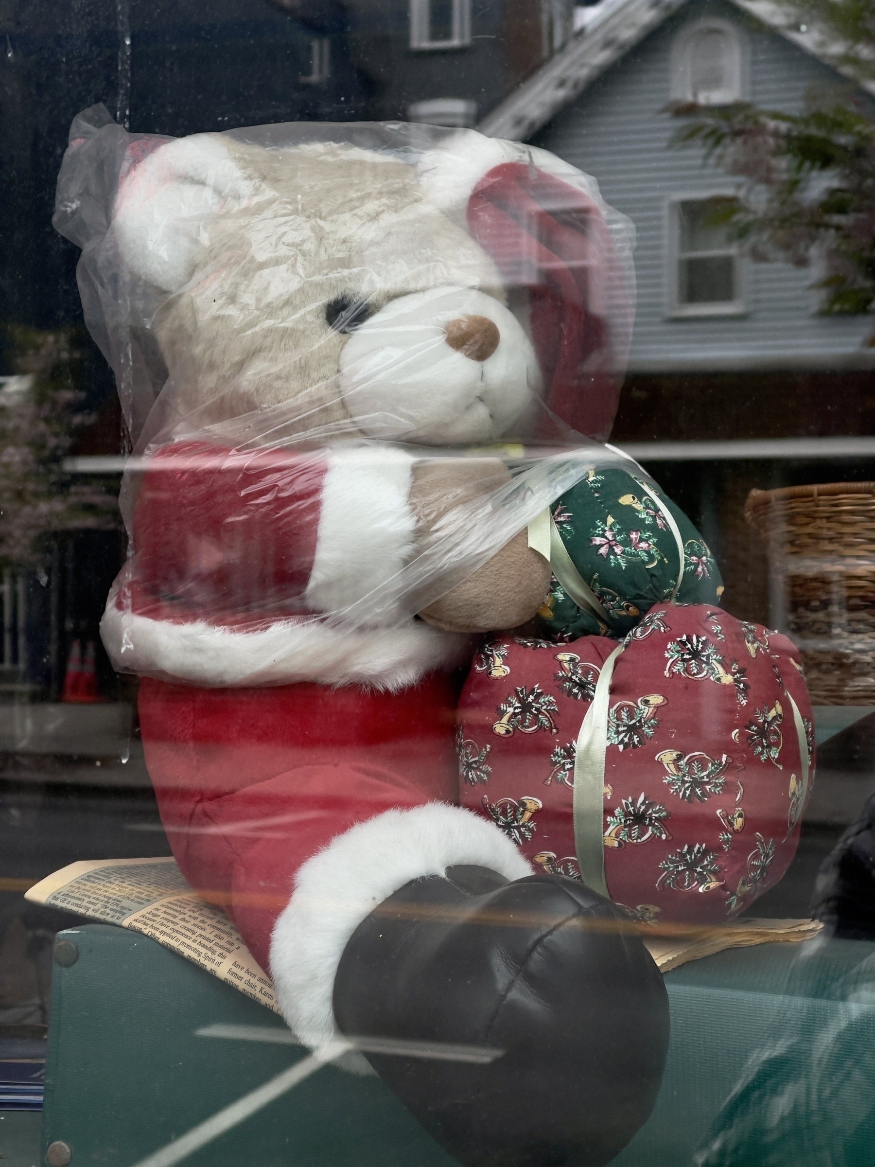 Christmas teddy bear with plastic bag over its head in the window of a florest shop. Something a little disturbing to me about it. Color.