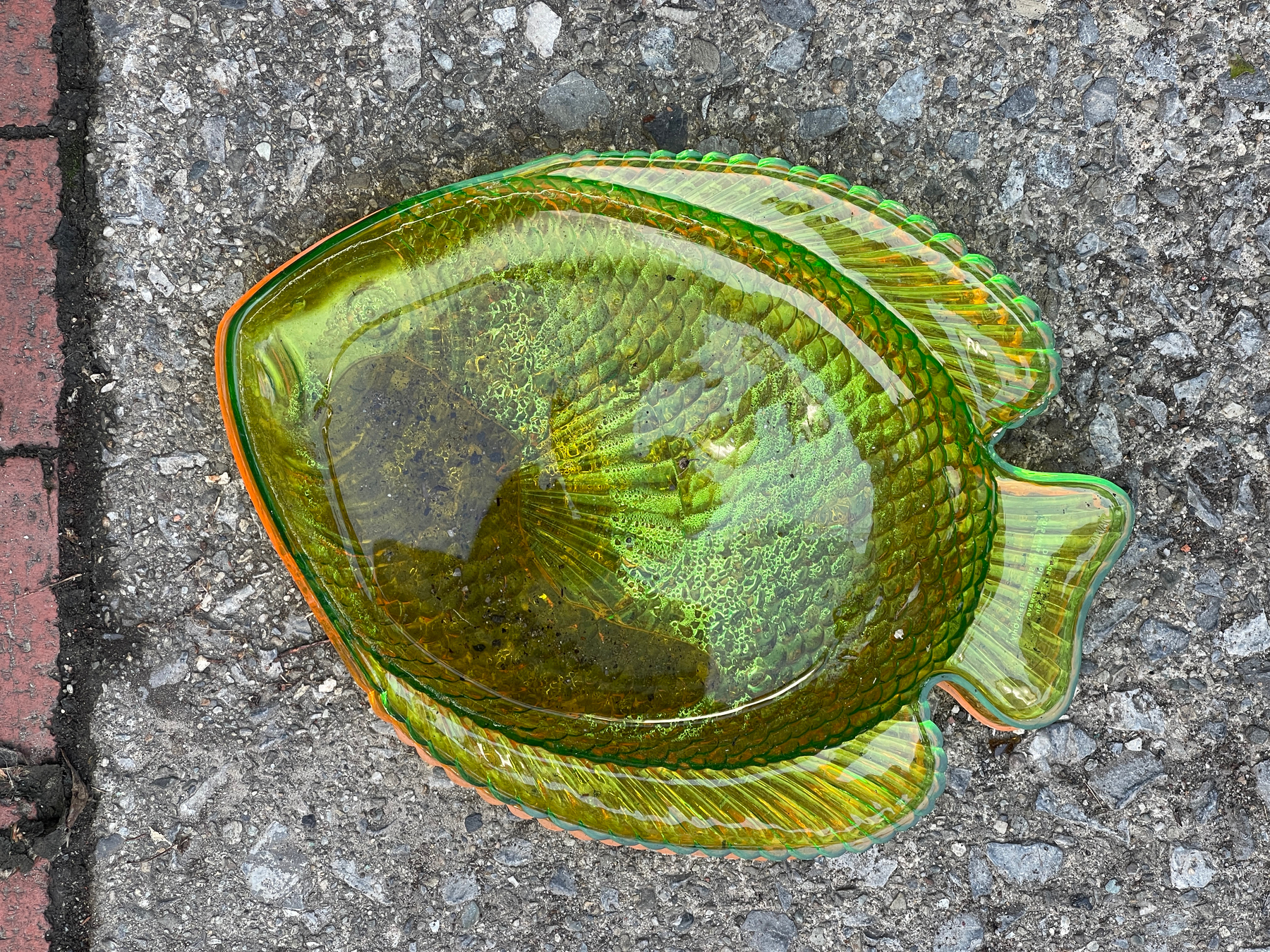 Green fish dish lying on sidewalk.